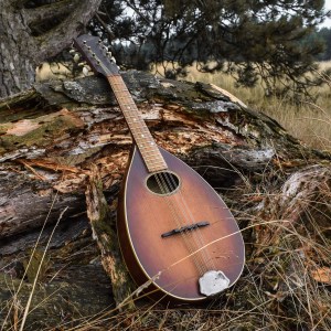 Vintage 1950 50s Levin Model 46 Mandolin Instrument Luthier String Cabin Lodge Ranch Western Folk Decor Swedish