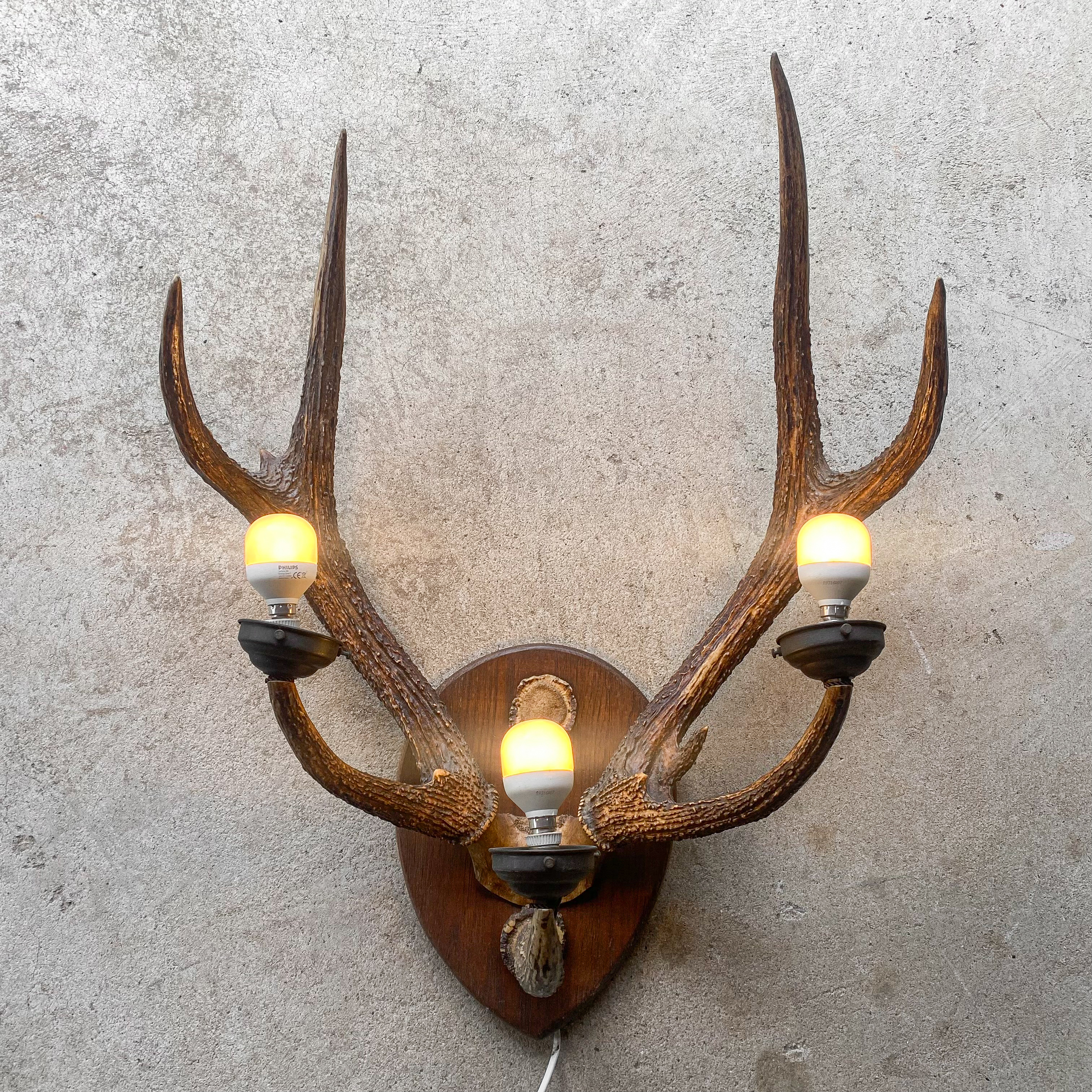 vintage-retro-50s-red-deer-stag-antlers-antler-mount-lamp-chandelier-taxidermy-lighting-curiosity-cabin-lodge-decor-collection-gift-rustic-roots-revived (2)
