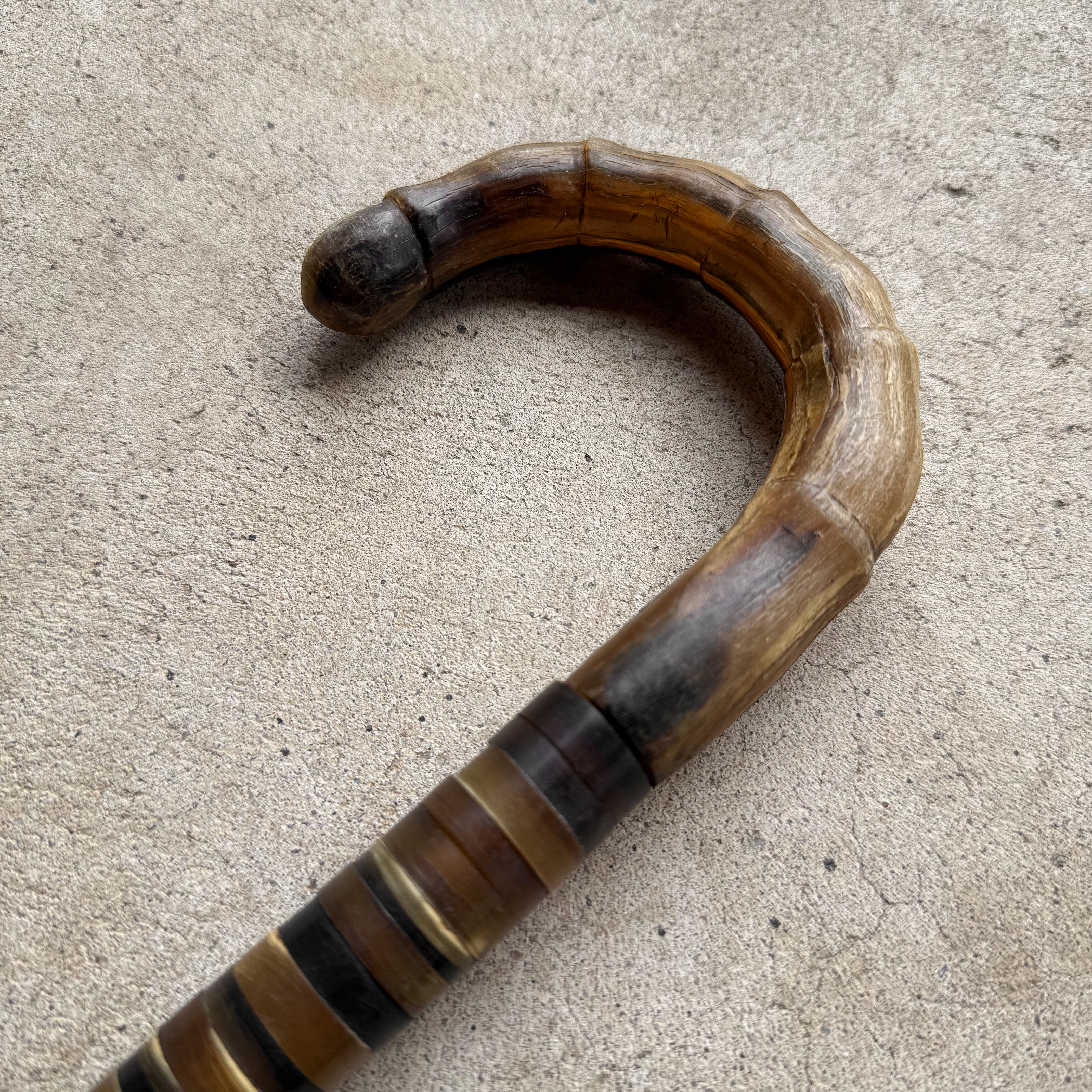 antique-vintage-19th-century-french-horn-folk-art-walking-stick-cane-decor-curiosity-gift (4)